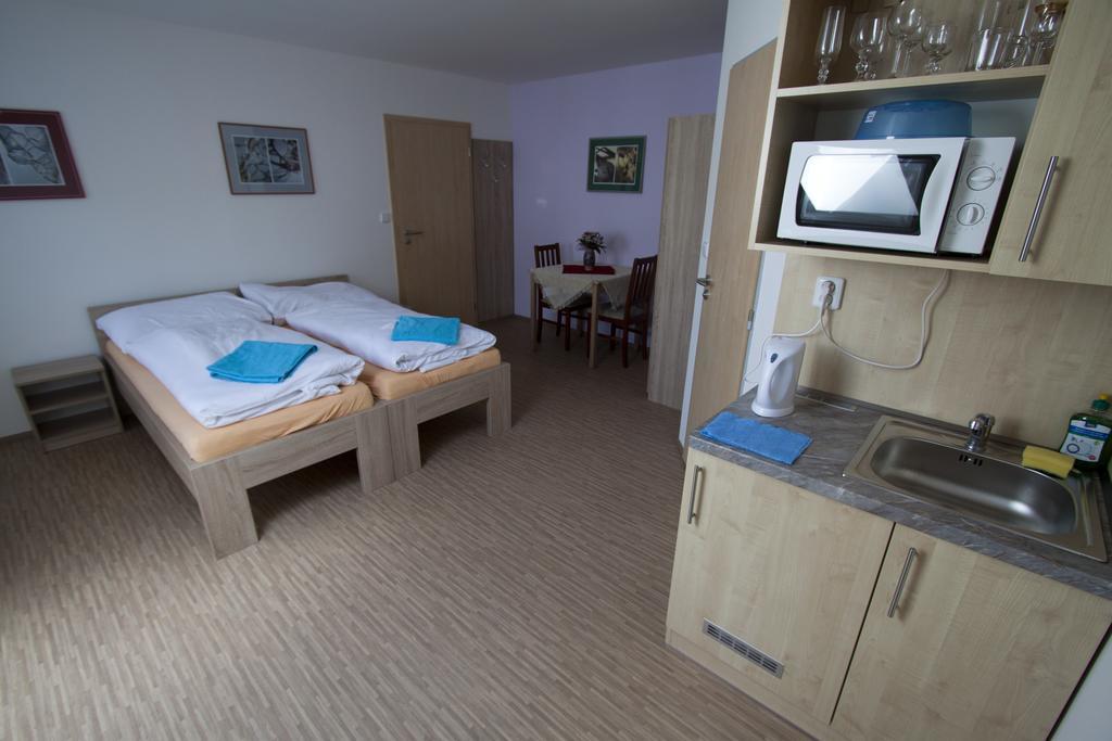 Vila Aneta Hotel Luhacovice Room photo